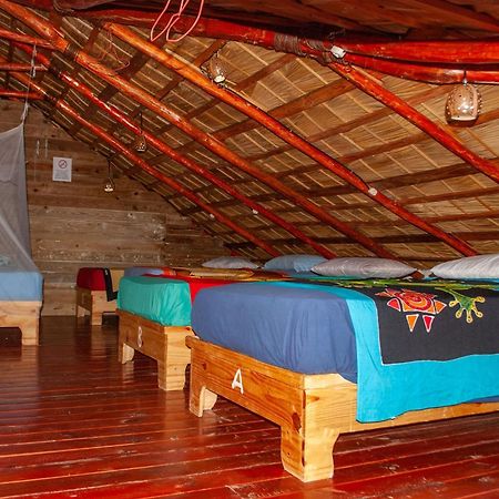 Hostel La Ballena Backpacker Las Galeras Exteriör bild