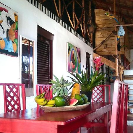 Hostel La Ballena Backpacker Las Galeras Exteriör bild