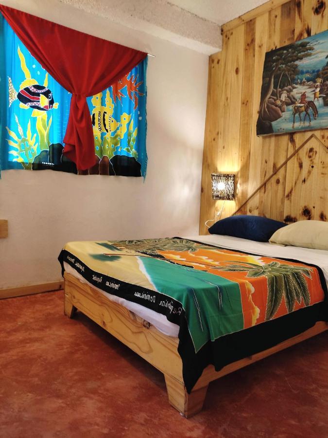 Hostel La Ballena Backpacker Las Galeras Exteriör bild