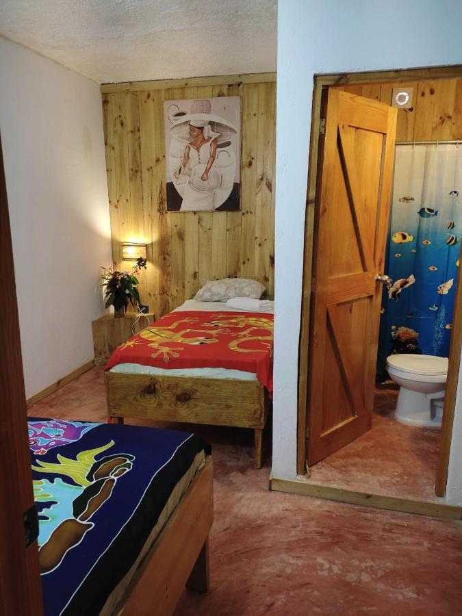 Hostel La Ballena Backpacker Las Galeras Exteriör bild