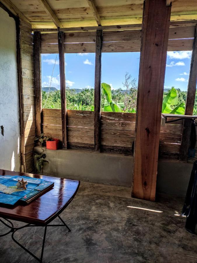 Hostel La Ballena Backpacker Las Galeras Exteriör bild