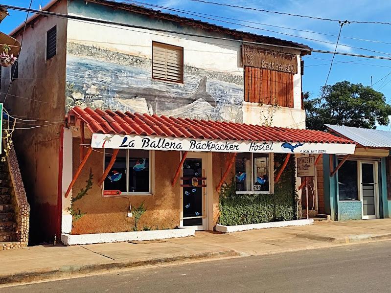 Hostel La Ballena Backpacker Las Galeras Exteriör bild