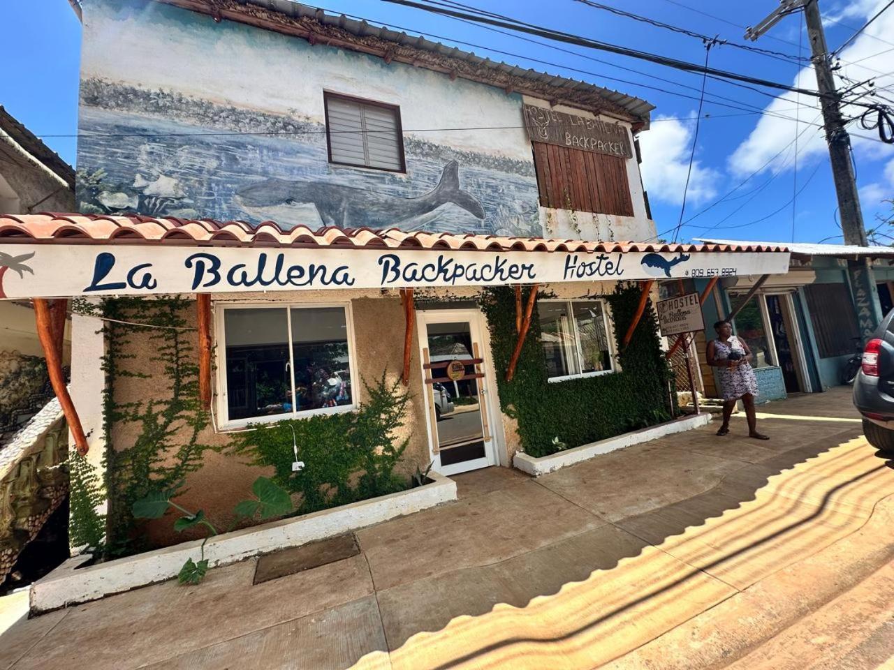 Hostel La Ballena Backpacker Las Galeras Exteriör bild