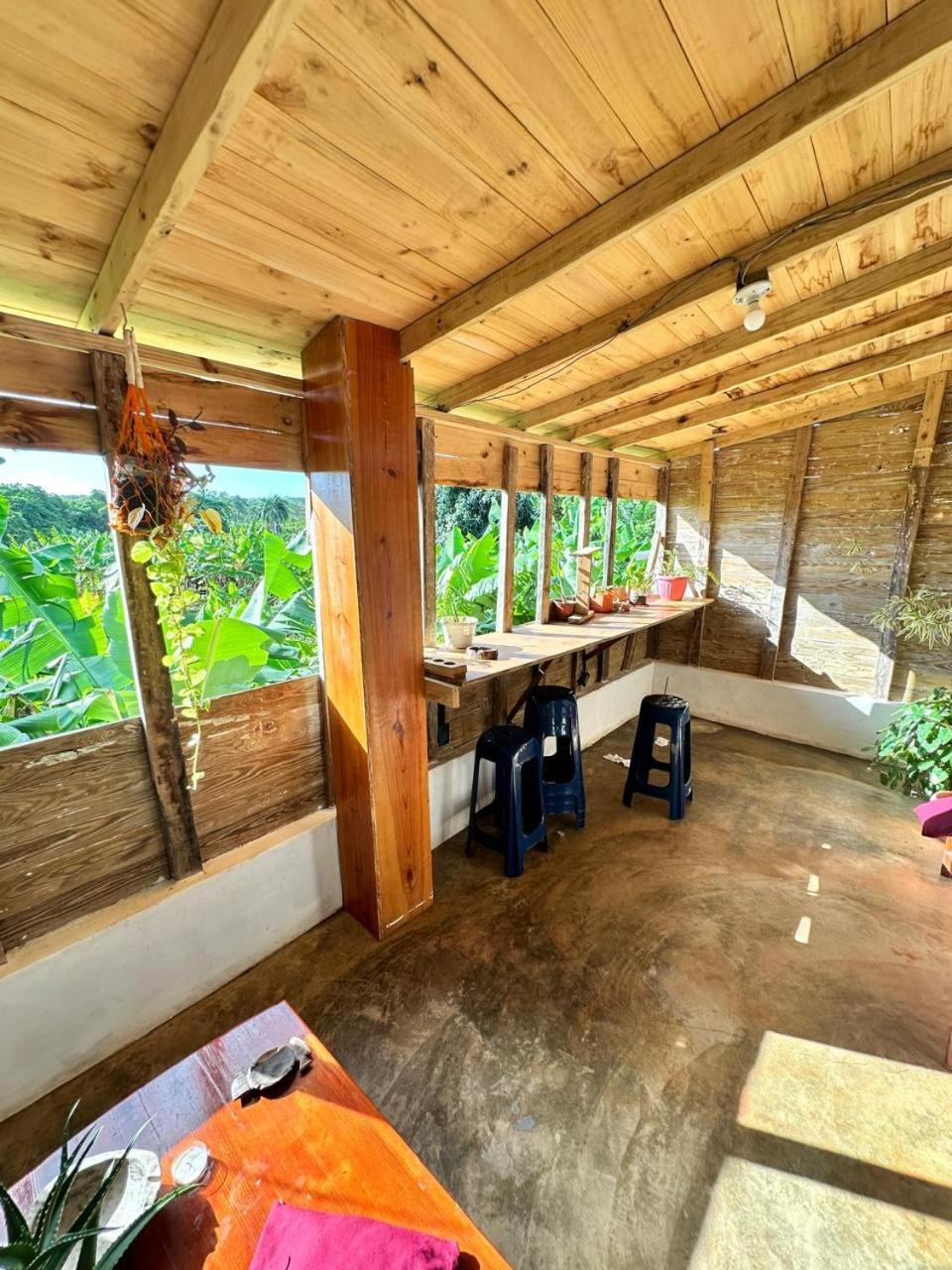 Hostel La Ballena Backpacker Las Galeras Exteriör bild