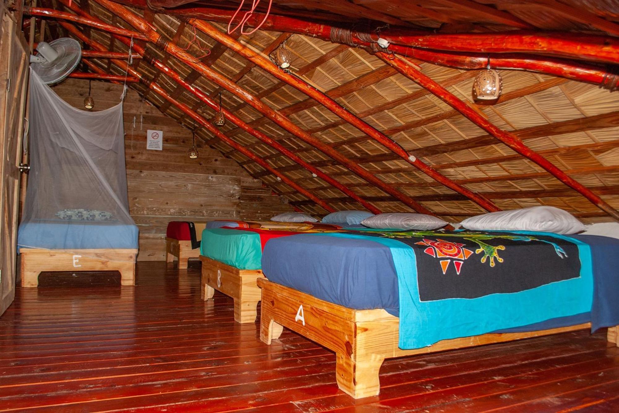 Hostel La Ballena Backpacker Las Galeras Exteriör bild