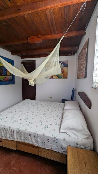 Hostel La Ballena Backpacker Las Galeras Exteriör bild