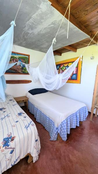 Hostel La Ballena Backpacker Las Galeras Exteriör bild