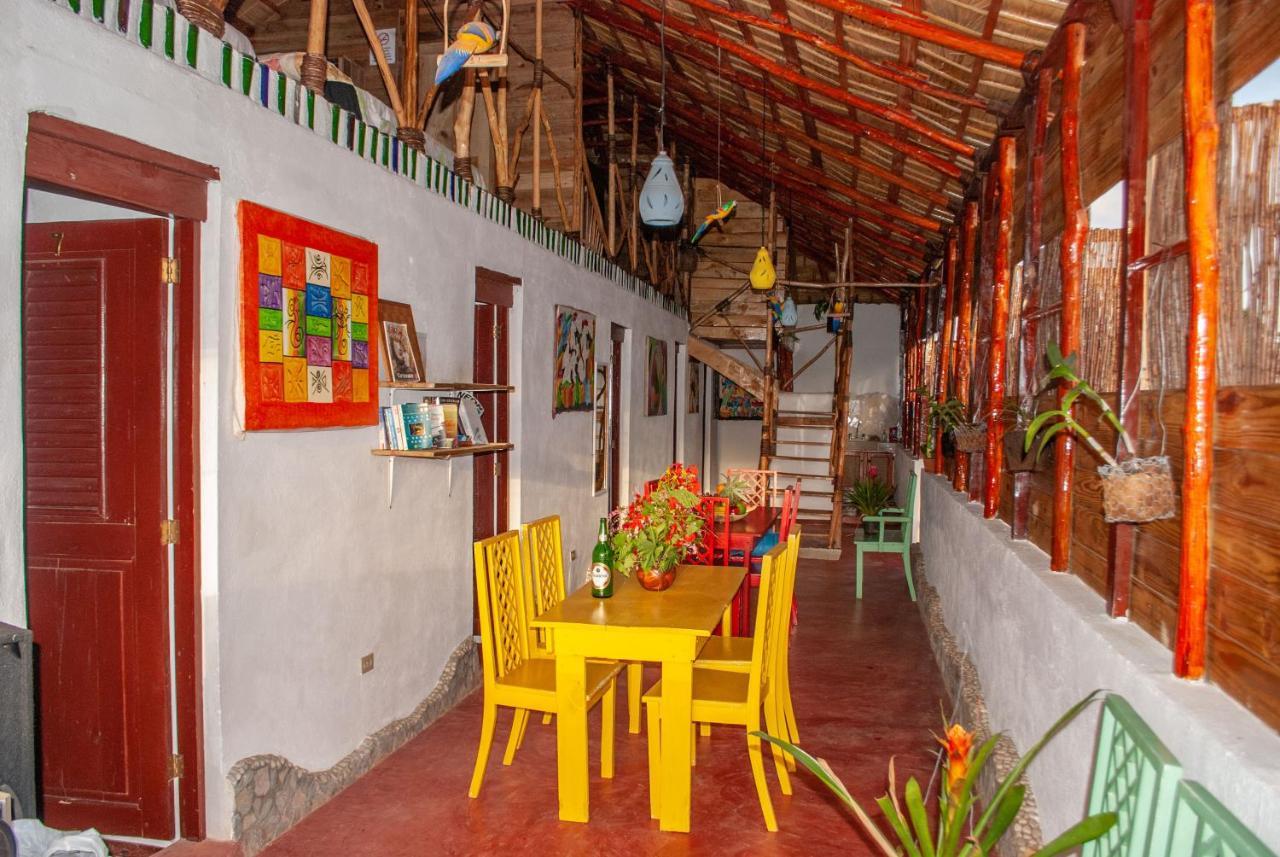Hostel La Ballena Backpacker Las Galeras Exteriör bild