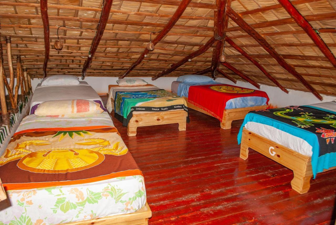 Hostel La Ballena Backpacker Las Galeras Exteriör bild