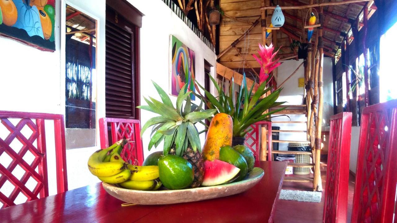 Hostel La Ballena Backpacker Las Galeras Exteriör bild